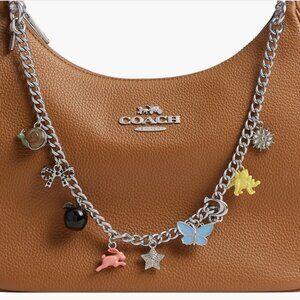Coach Chain Strap with Charms CCD31